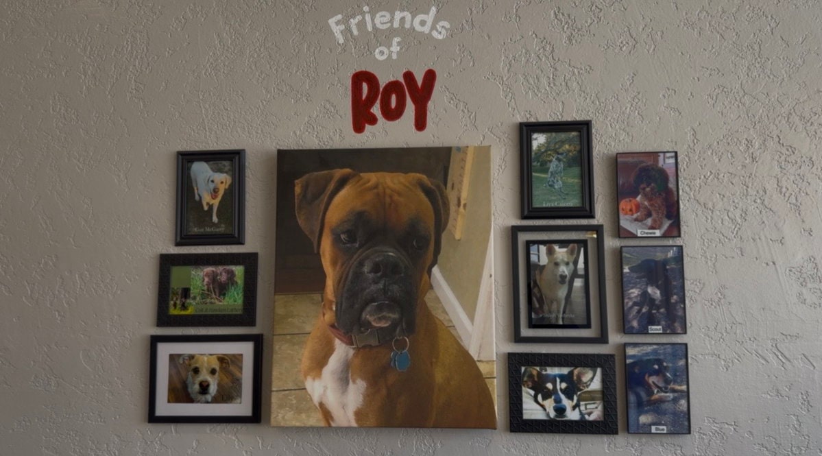 Friends of Roy wall with framed pet photos around Roy’s portrait